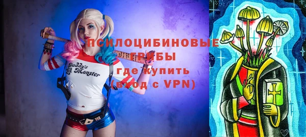 метадон Алексин