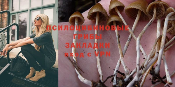 дурь Алзамай
